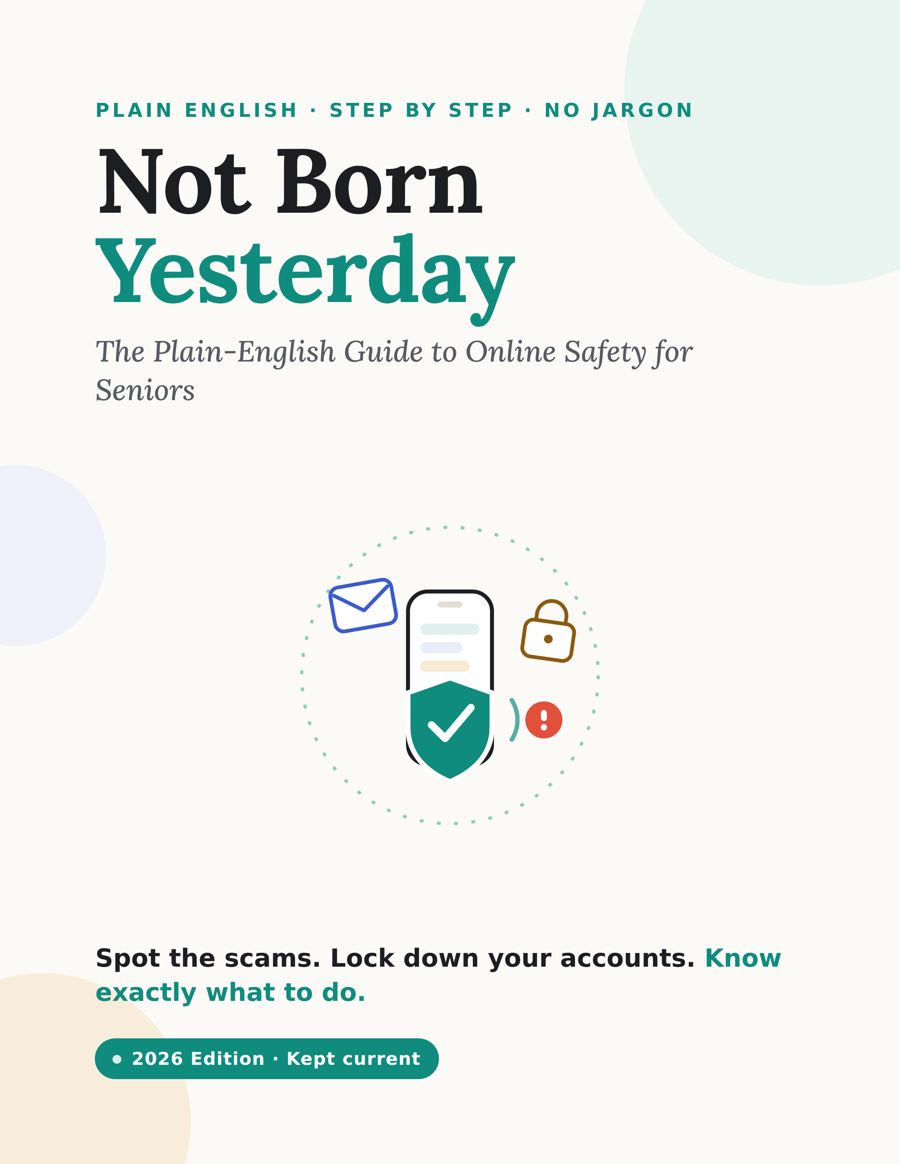 Cover of the Not Born Yesterday guide